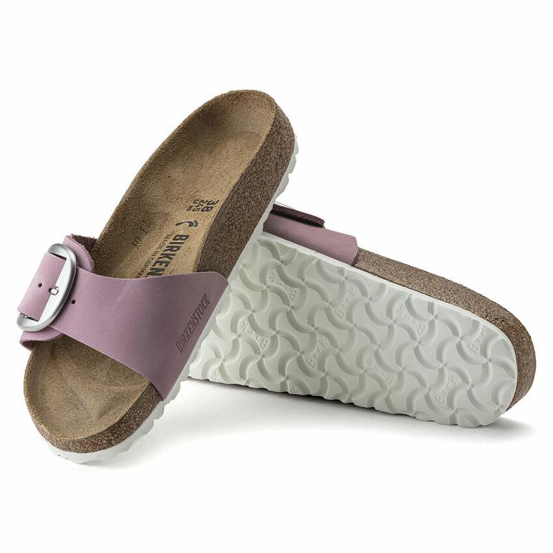 Birkenstock Big Přezkou Orchid Nubuck Læder Madrid Dame Lilla | DK 412JPQ